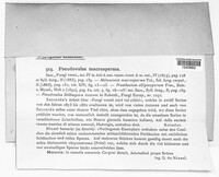 Image of Pseudovalsa macrosperma